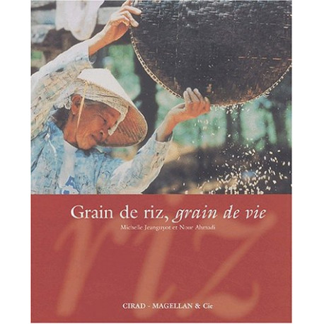 Grain de riz grain de vie