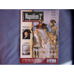 Napoléon face à l'Angleterre