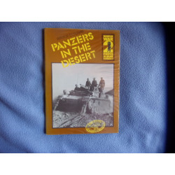 Panzers in the desert