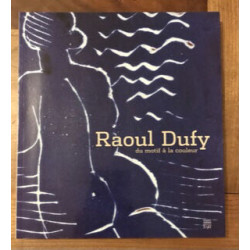 Raoul Dudu du motif à la couleur