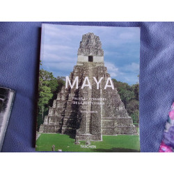 Maya palais et pyramides de la forêt vierge
