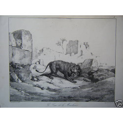 LITHOGRAPHIE DE HORACE VERNET 19ème LE LION ET MOUCHERON