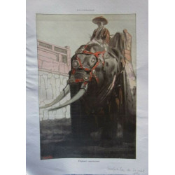 PAGE ILLUSTRATION 1930 ELEPHANT CAPARACONNE D' APRES TABLEAU DE JOUVE