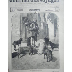 Revue journal voyages janvier 1902 chiens de constantinople turquie